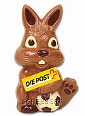 Junior-Hase Logo